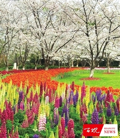 shangyu0310007_001_01_b.jpg shangyu0310007_001_01_b.jpg