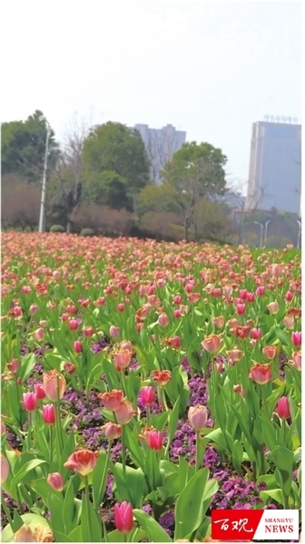 shangyu0310007_001_02_b.jpg shangyu0310007_001_02_b.jpg