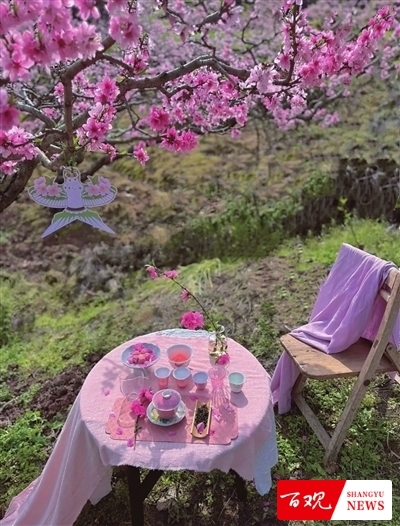 shangyu0310007_001_03_b.jpg shangyu0310007_001_03_b.jpg